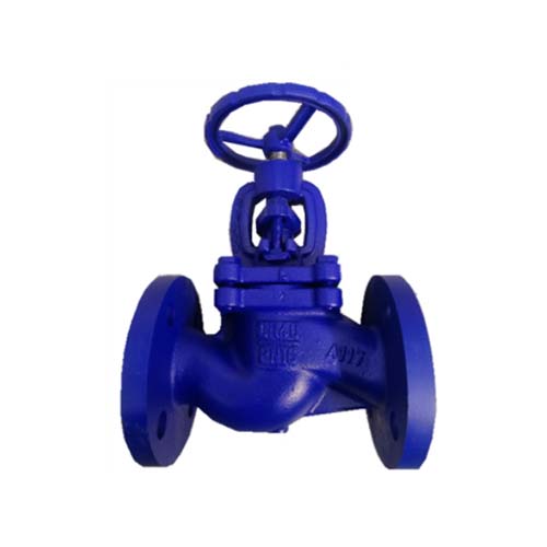 Globe Valve Cast Iron Flange บรษท พน พอยต อนสทรเมนท จำกด