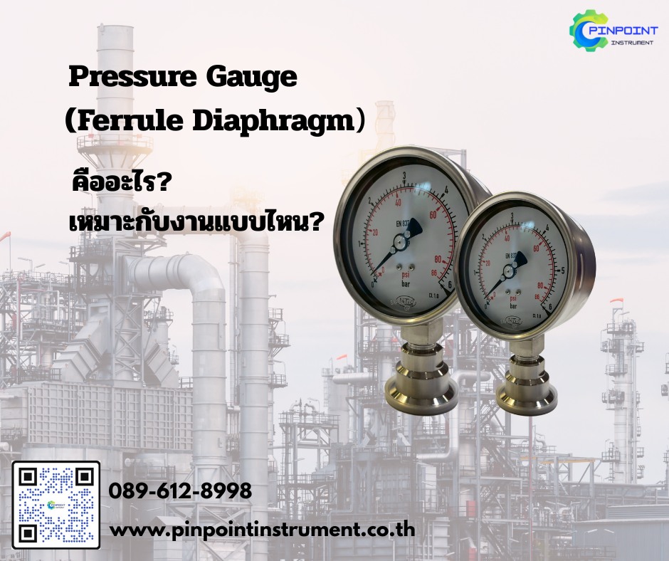 Diaphragm Ferrule ข้อต่อเชื่อมระบบท่อสแตนเลส