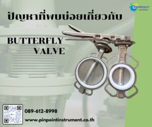 ปัญหาที่พบบ่อยเกี่ยวกับ Butterfly Valve ในงานอุตสาหกรรม