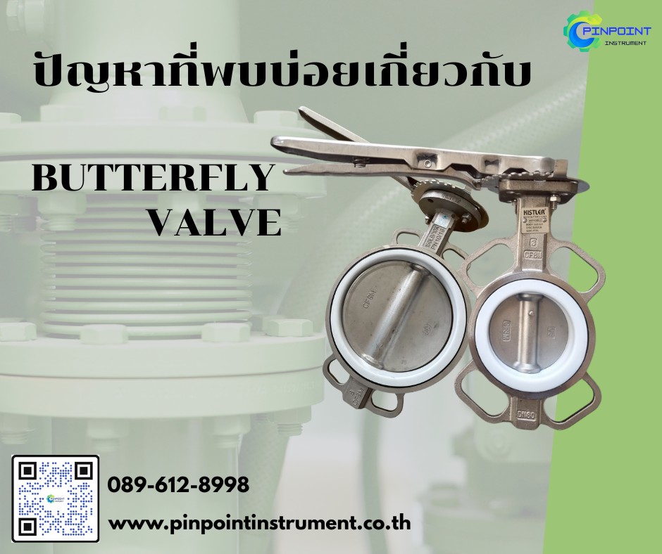ปัญหาที่พบบ่อยเกี่ยวกับ Butterfly Valve ในงานอุตสาหกรรม