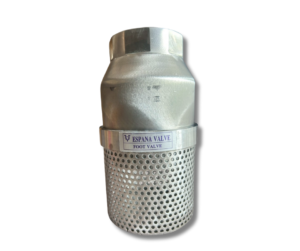ESPANA Foot Valve SCL-200 Cast Iron